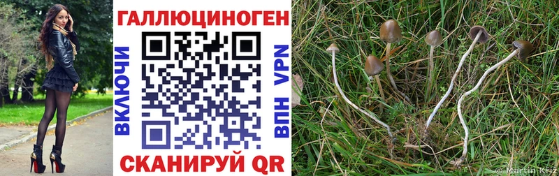 Псилоцибиновые грибы ЛСД  где купить наркоту  Балабаново 